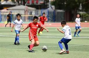 决策,每日问答,改革成果评,B体育平台,B体育官方网站,B体育登录入口,B体育app下载