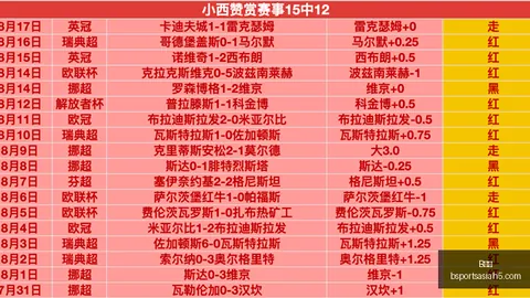 B体育B体育官网数据冲到203543引发关注